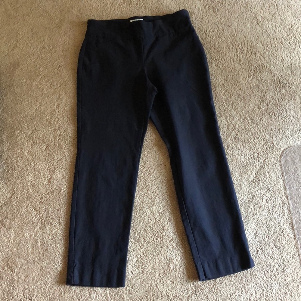 Charter Club Navy Pants
